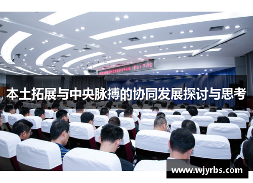 本土拓展与中央脉搏的协同发展探讨与思考