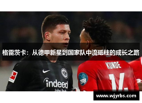 格雷茨卡：从德甲新星到国家队中流砥柱的成长之路